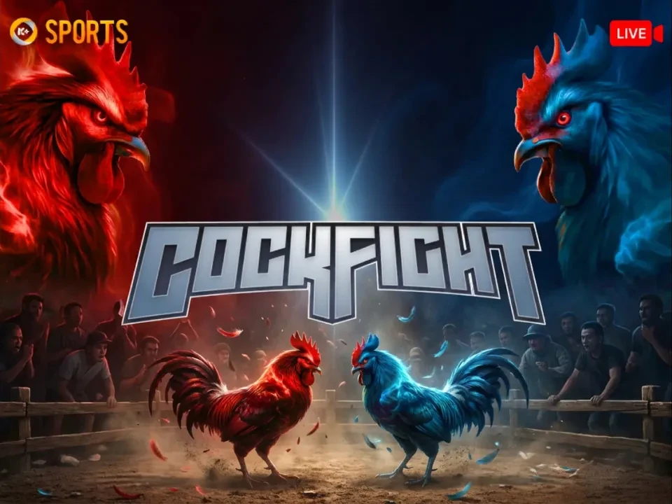 3BET Đá Gà K-Sports